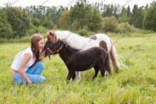 Летняя фотосессия с лошадьми, пони и козой