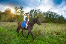 Фотосессия с конем на закате
