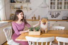 Студийная фотосессия с померанским шпицем