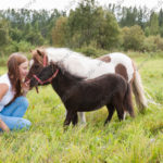 Летняя фотосессия с лошадьми, пони и козой